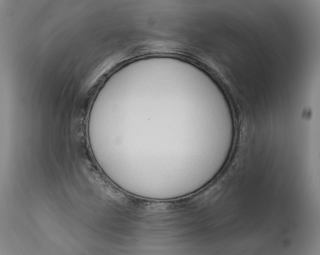 X0000111181211200907151316