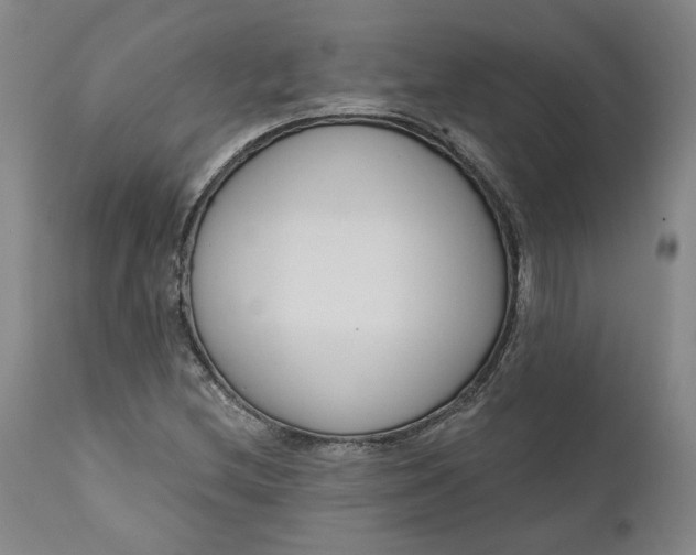 X0000111181212200907151316