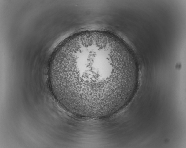 X0000111181213200907151316