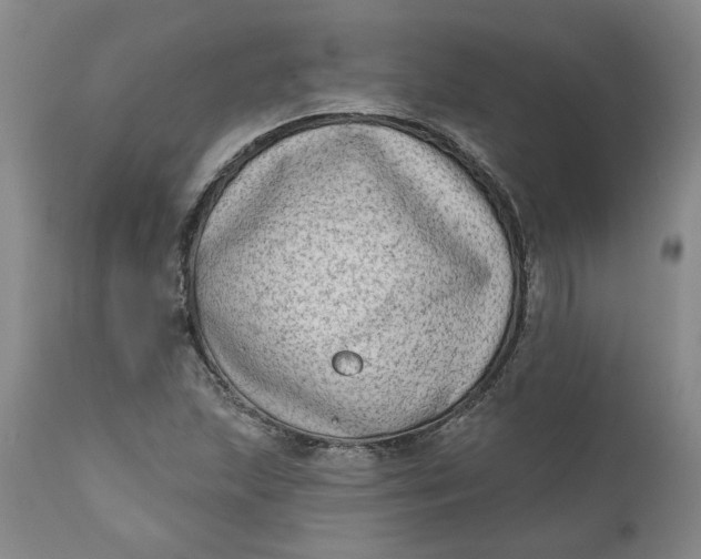 X0000111181215200907151316