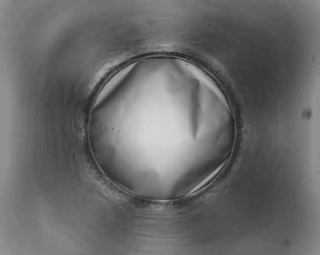 X0000111181218200907151316