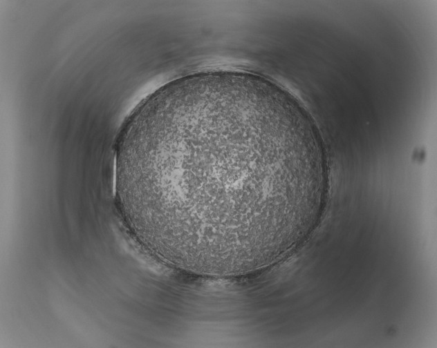 X0000111181219200907151316