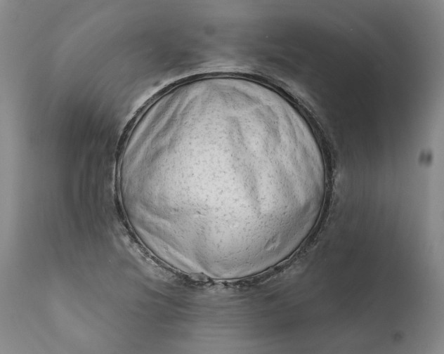 X0000111181220200907151316