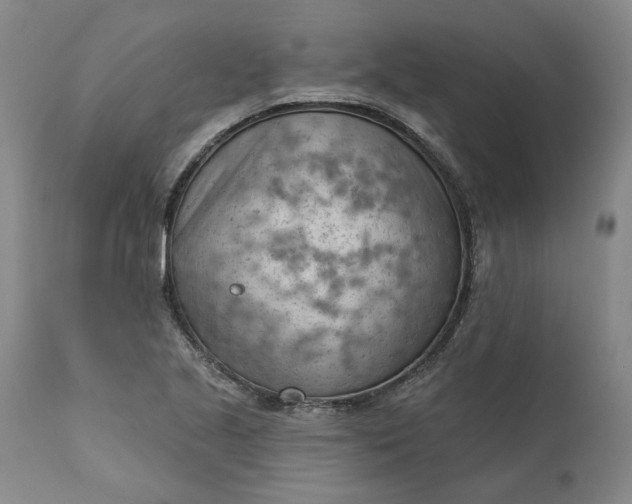 X0000111181221200907151316