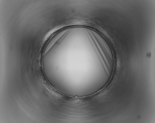 X0000111181222200907151316