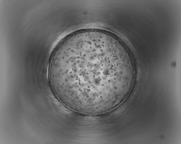 X0000111181224200907151316