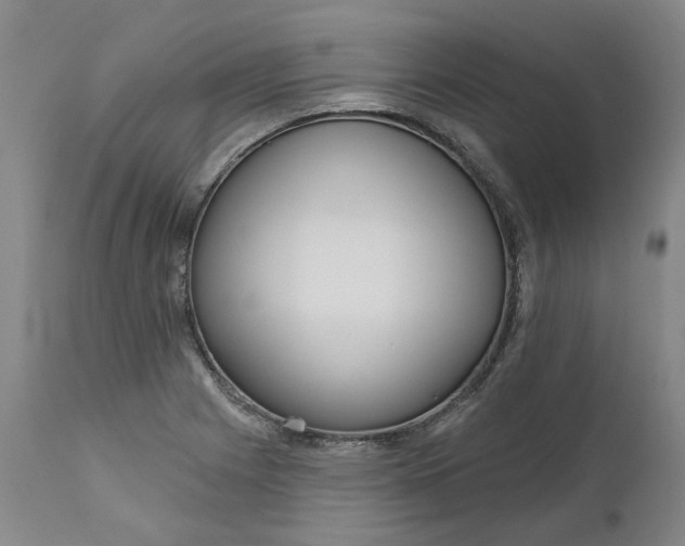 X0000111181225200907151316