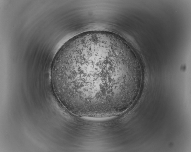 X0000111181226200907151316