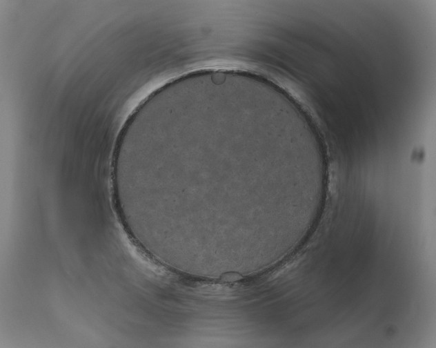 X0000111181229200907151316