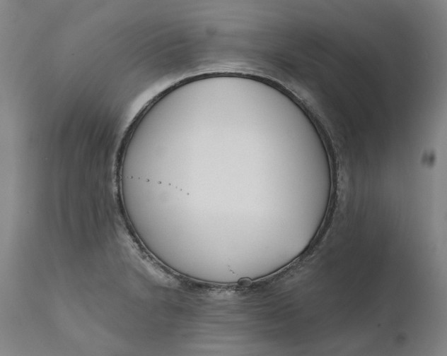 X0000111181230200907151316