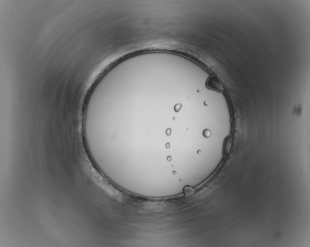 X0000111181232200907151316