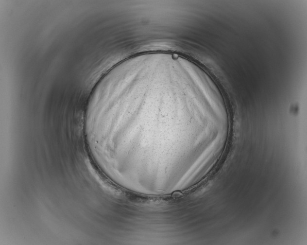 X0000111181233200907151316