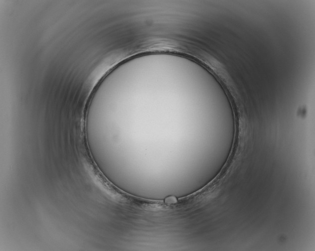 X0000111181234200907151316