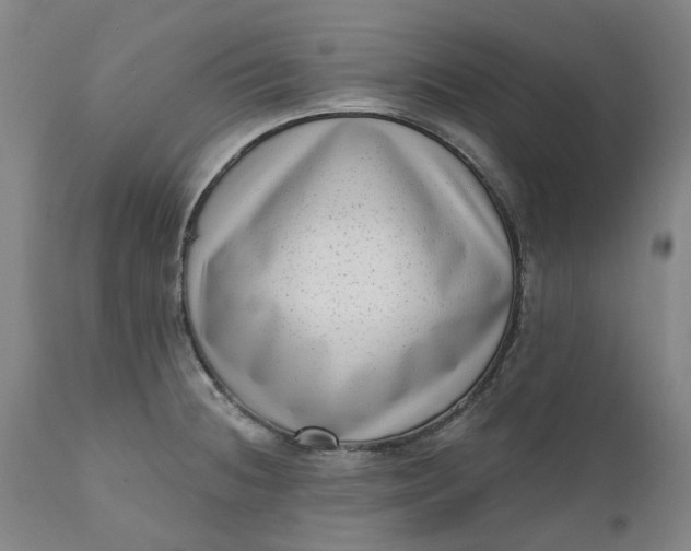 X0000111181236200907151316