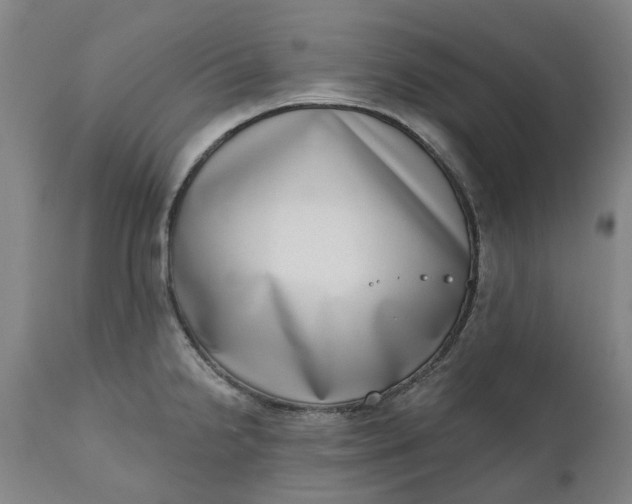 X0000111181238200907151316