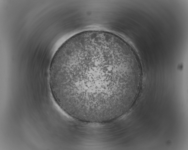 X0000111181239200907151316