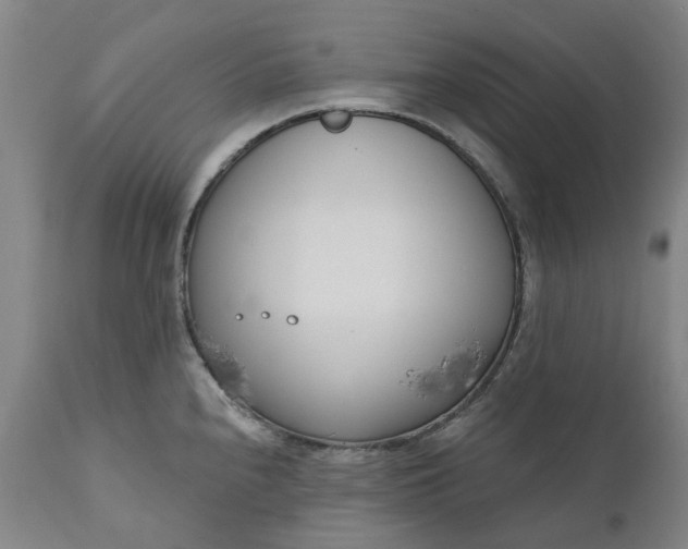 X0000111181240200907151316