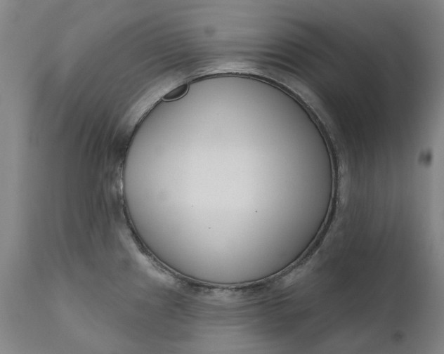 X0000111181241200907151316