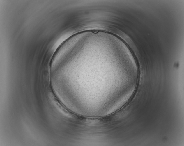 X0000111181242200907151316