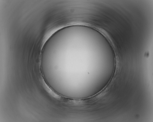 X0000111181244200907151316