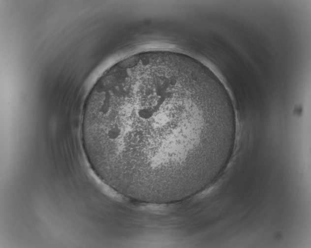 X0000111181245200907151316