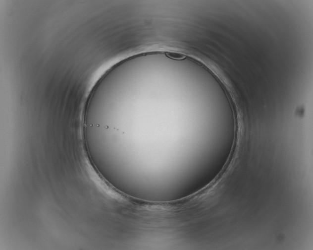 X0000111181246200907151316