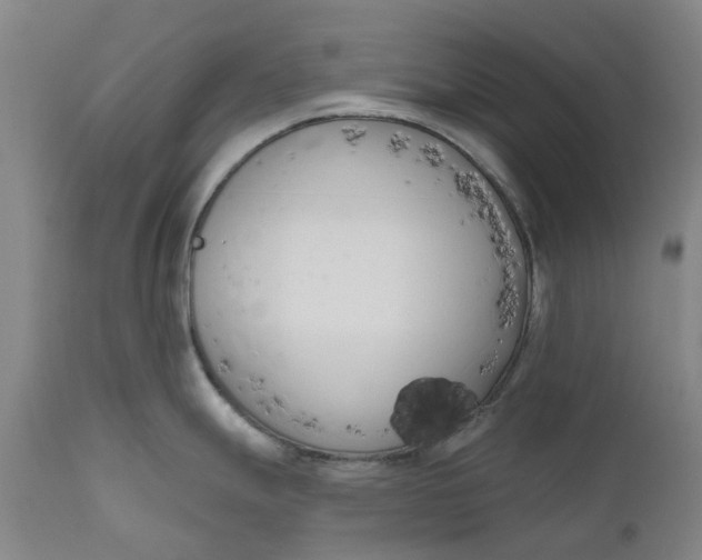 X0000111181247200907151316