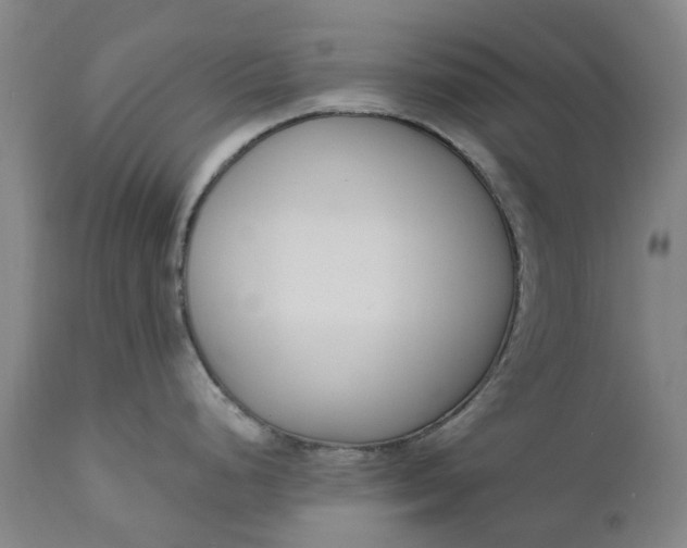 X0000111181248200907151316