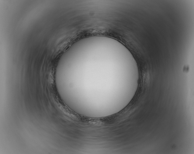 X0000111181250200907151316