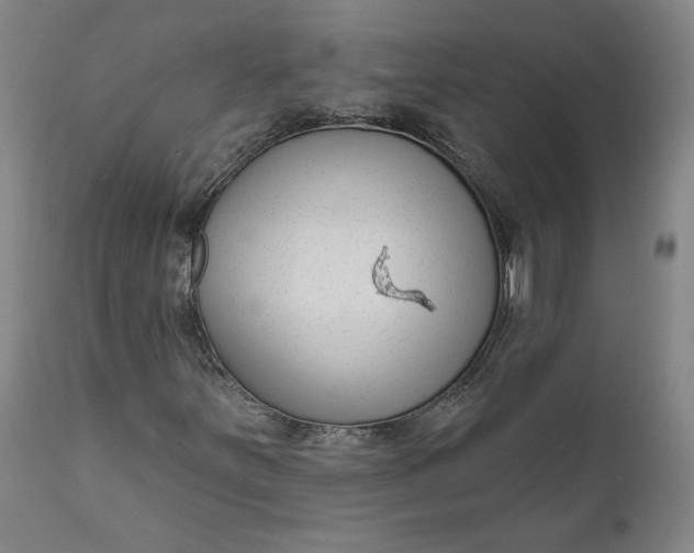 X0000111181251200907151316