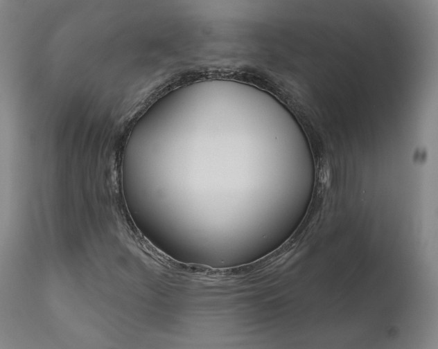 X0000111181252200907151316