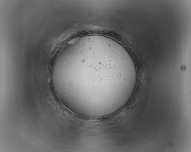 X0000111181253200907151315