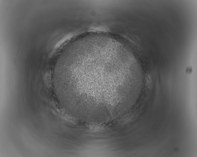 X0000111181254200907151315