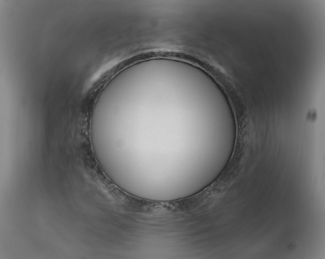 X0000111181255200907151315