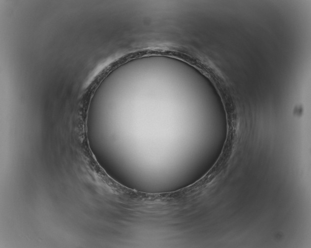 X0000111181256200907151315