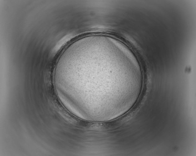 X0000111181259200907151315