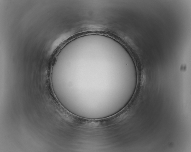 X0000111181261200907151315