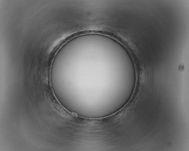 X0000111181262200907151315