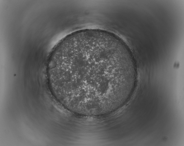 X0000111181263200907151315