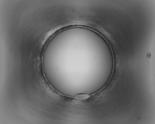 X0000111181264200907151315