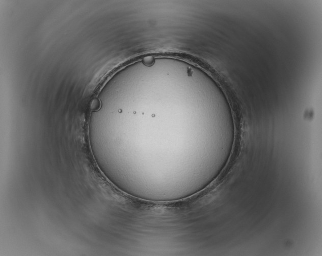 X0000111181265200907151315