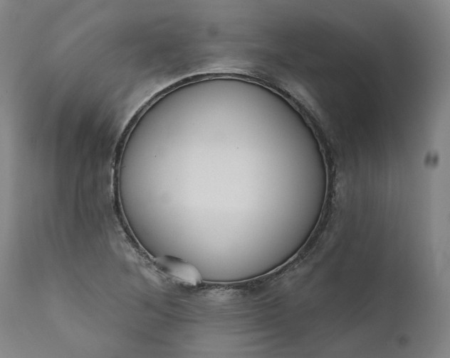 X0000111181268200907151315