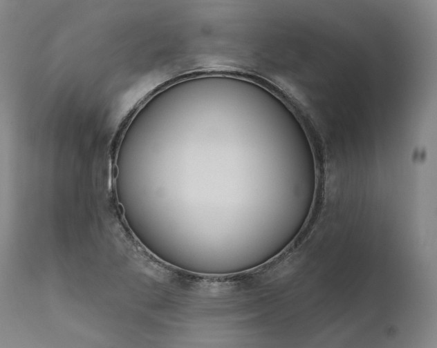 X0000111181269200907151315