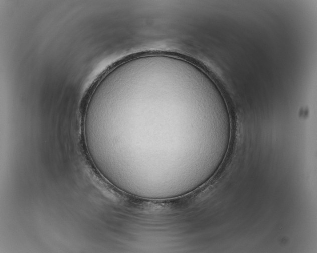 X0000111181270200907151315