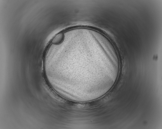 X0000111181271200907151315