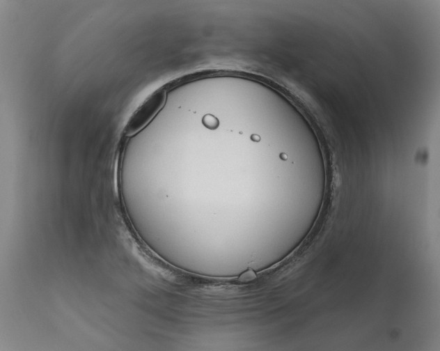 X0000111181272200907151315