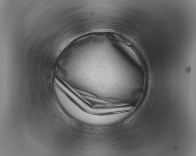 X0000111181273200907151315