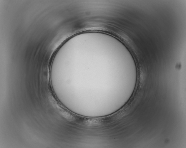 X0000111181274200907151315