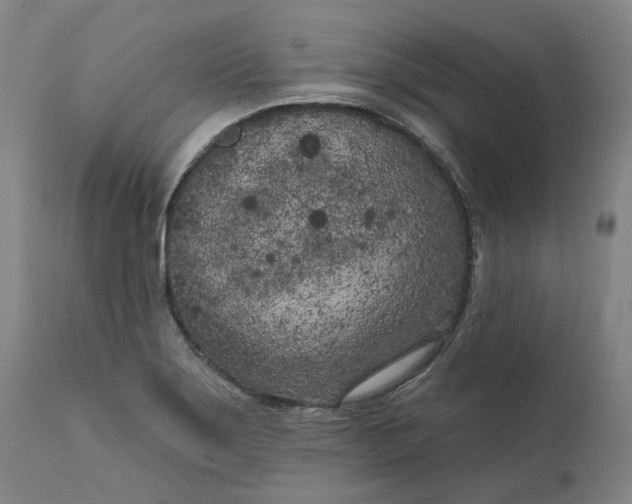 X0000111181275200907151315