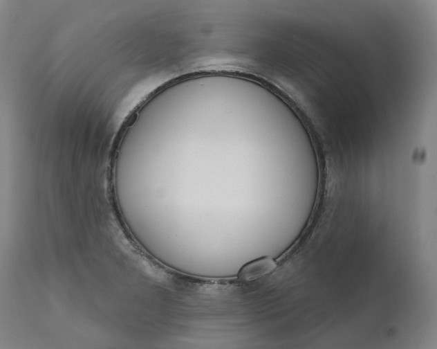 X0000111181277200907151315